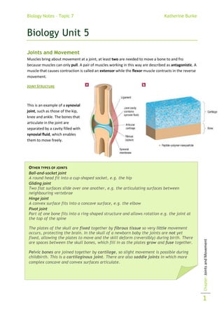 Biology Unit 5<br />Joints and Movement<br />1943735876300Muscles bring about movement at a joint, at least two are needed to move a bone to and fro because muscles can only pull. A pair of muscles working in this way are described as antagonistic. A muscle that causes contraction is called an extensor while the flexor muscle contracts in the reverse movement.<br />Joint Structure<br />Other types of jointsBall-and-socket jointA round head fit into a cup-shaped socket, e.g. the hipGliding jointTwo flat surfaces slide over one another, e.g. the articulating surfaces between neighbouring vertebraeHinge jointA convex surface fits into a concave surface, e.g. the elbowPivot jointPart of one bone fits into a ring-shaped structure and allows rotation e.g. the joint at the top of the spineThe plates of the skull are fixed together by fibrous tissue so very little movement occurs, protecting the brain. In the skull of a newborn baby the joints are not yet fixed, allowing the plates to move and the skill deform (reversibly) during birth. There are spaces between the skull bones, which fill in as the plates grow and fuse together.Pelvic bones are joined together by cartilage, so slight movement is possible during childbirth. This is a cartilaginous joint. There are also saddle joints in which more complex concave and convex surfaces articulate.This is an example of a synovial joint, such as those of the kip, knee and ankle. The bones that articulate in the joint are separated by a cavity filled with synovial fluid, which enables them to move freely. <br />Muscles<br />How muscles work<br />Muscle is made up of bundles of muscle fibres. Each fibre is a single muscle cell. Each cell has several nuclei, referred to as multinucleate. This is because one nucleus does not effectively control the metabolism of such a long cell. During prenatal development, several cells fuse together to form the length of muscle fibres. The muscle cells are stripped which is important for them to be able to contract.<br />Tendon<br />Tendons at each end of the muscle connect the muscle to bone.<br />Bundle of Muscle Fibres<br />The muscle is made up of bundles of muscle fibres up to 2cm across. These are bound together by connective tissue, which is continuous with the tendons.<br />Muscle Fibre<br />Each muscle fibre is a single muscle cell surrounded by a cell surface membrane. Each muscle fibre may be several centimetres long, but is less than 0.1mm in diameter. Inside the muscle fibre is the cytoplasm containing mitochondria and other organelles.<br />Myofibrils<br />Within each muscle fibre there are numerous myofibrils; each is composed of repeated contractile units called sarcomeres.<br />101917538735<br />Inside muscle fibres<br />Inside each muscle fibre are numerous myofibrils which are made of a series of contractile units called sarcomeres.<br />Sarcomeres are made of types of protein molecules called actin and myosin. Actin normally makes up the thin filaments whereas myosin is mainly for thicker filaments. Contractions are produced by co-ordinating the sliding of the filaments in the sarcomeres. The proteins overlap and give the muscles fibres the striated characteristic.<br />2981325789305-257175789305Where actin filaments occur on their own, there is a light band on the sarcomeres. Where both actin filaments and myosin filaments occur, there is a dark band. Where only myosin filaments occur, there is an intermediate coloured band. <br />2. Actin and myosin filaments when the muscle is contracted1. Actin and myosin filaments when the muscle is relaxed<br />-93345241935<br />3. The banding patterns created on an extended muscle myofibril<br />How sarcomeres shorten<br />Actin is associated with the proteins troponin and tropomyosin. The club shafts of myosin lie together as a bundle, with heads protruding along their length. In contraction, the change in orientation of the myosin heads brings about the movement of actin. The myosin heads attach to the actin and dip forward, sliding actin over the myosin; this is the sliding filament theory.<br />The sliding filament theory<br />When a nerve impulse arrives at a neuromuscular junction, calcium ions are released from the sarcoplasmic reticulum. This is a specialised type of endoplasmic reticulum: a system of membrane-bound sacs around the myofibrils. The calcium ions diffuse through the sarcoplasm. This initiates the movement of protein filaments.<br />,[object Object]