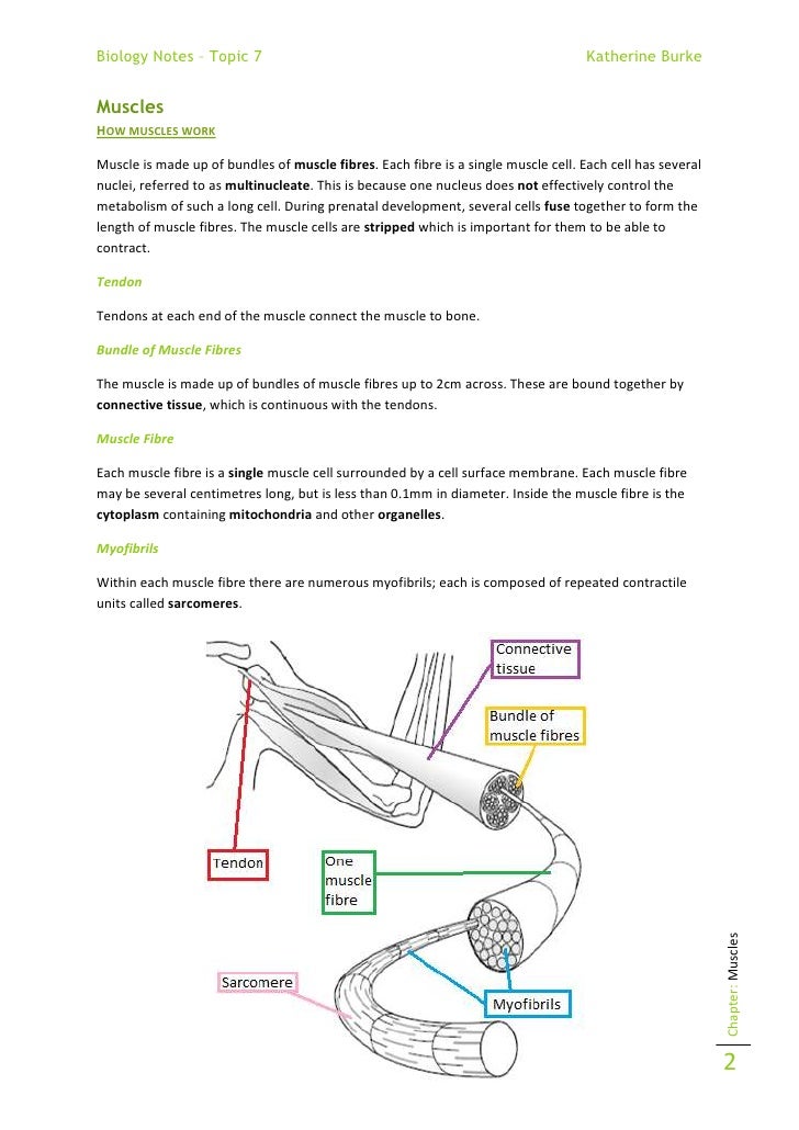 Daily assignments are incomplete, oftentimes not understood what will you do picture