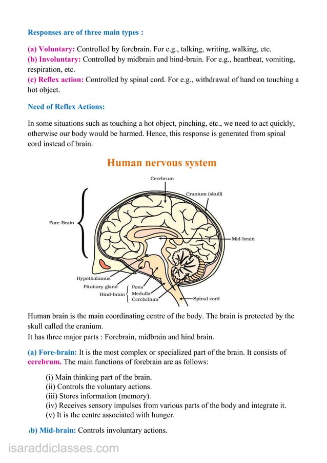 Bio Class 10 Notes.pdf BIOLOGY Notes class 10 cbse science notes | PDF