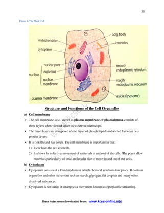 Biology Form 2 Notes.pdf Biology notes form 1 | PDF
