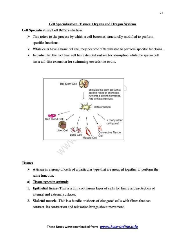 Biology notes form 1