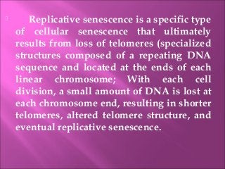  Replicative senescence is a specific type
of cellular senescence that ultimately
results from loss of telomeres (specialized
structures composed of a repeating DNA
sequence and located at the ends of each
linear chromosome; With each cell
division, a small amount of DNA is lost at
each chromosome end, resulting in shorter
telomeres, altered telomere structure, and
eventual replicative senescence.
 