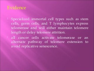 Evidence
 Specialized immortal cell types such as stem
cells, germ cells, and T lymphocytes express
telomerase and will either maintain telomere
length or delay telomere attrition.
 all cancer cells activate telomerase or an
alternate pathway of telomere extension to
avoid replicative senescence.
 