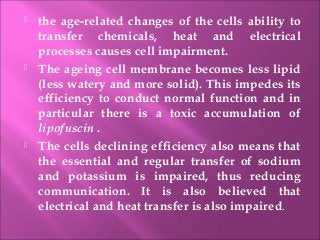  the age-related changes of the cells ability to
transfer chemicals, heat and electrical
processes causes cell impairment.
 The ageing cell membrane becomes less lipid
(less watery and more solid). This impedes its
efficiency to conduct normal function and in
particular there is a toxic accumulation of
lipofuscin .
 The cells declining efficiency also means that
the essential and regular transfer of sodium
and potassium is impaired, thus reducing
communication. It is also believed that
electrical and heat transfer is also impaired.
 