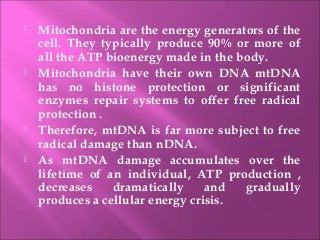  Mitochondria are the energy generators of the
cell. They typically produce 90% or more of
all the ATP bioenergy made in the body.
 Mitochondria have their own DNA mtDNA
has no histone protection or significant
enzymes repair systems to offer free radical
protection .
 Therefore, mtDNA is far more subject to free
radical damage than nDNA.
 As mtDNA damage accumulates over the
lifetime of an individual, ATP production ,
decreases dramatically and gradually
produces a cellular energy crisis.
 
