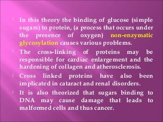  In this theory the binding of glucose (simple
sugars) to protein, (a process that occurs under
the presence of oxygen) non-enzymatic
glycosylation causes various problems.
 The cross-linking of proteins may be
responsible for cardiac enlargement and the
hardening of collagen and atherosclerosis.
 Cross linked proteins have also been
implicated in cataract and renal disorders.
 It is also theorized that sugars binding to
DNA may cause damage that leads to
malformed cells and thus cancer.
 