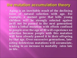  Aging is an inevitable result of the declining
force of natural selection with age. For
example, a mutant gene that kills young
children will be strongly selected against
(will not be passed to the next generation)
while a lethal mutation with effects confined
to people over the age of 80 will experience no
selection because people with this mutation
will have already passed it to their offspring
by that age. Over successive generations, late-
acting deleterious mutations will accumulate,
leading to an increase in mortality rates late
in life. 
 