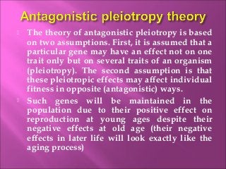  The theory of antagonistic pleiotropy is based
on two assumptions. First, it is assumed that a
particular gene may have an effect not on one
trait only but on several traits of an organism
(pleiotropy). The second assumption is that
these pleiotropic effects may affect individual
fitness in opposite (antagonistic) ways.
 Such genes will be maintained in the
population due to their positive effect on
reproduction at young ages despite their
negative effects at old age (their negative
effects in later life will look exactly like the
aging process)
 