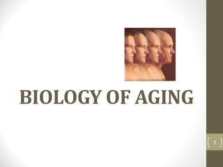 BIOLOGY OF AGING
1
 