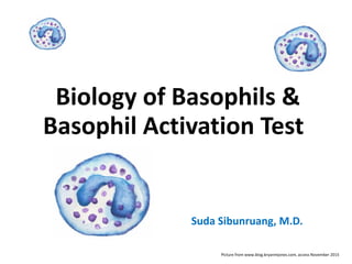 Picture from www.blog.bryanmjones.com, access November 2015
Biology of Basophils &
Basophil Activation Test
Suda Sibunruang, M.D.
 