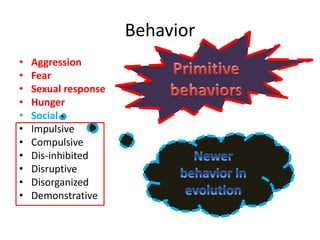 Biology of behavior | PPTX