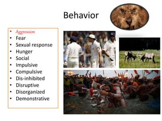 Biology of behavior | PPTX