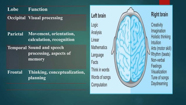 Biology of behaviour | PPTX