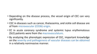 Circulating Endothelial Cells and Endothelial Progenitor Cells | PPTX