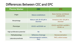 Circulating Endothelial Cells and Endothelial Progenitor Cells | PPTX