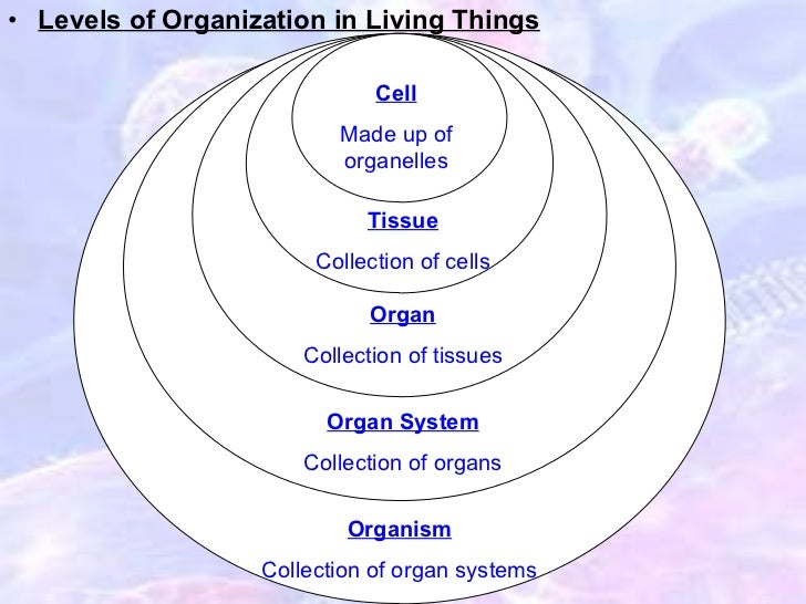 Biology of Cells notes