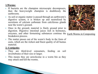 Biology of composting | PPTX