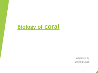 Biology of coral
Submitted by
VINOD KUMAR
 