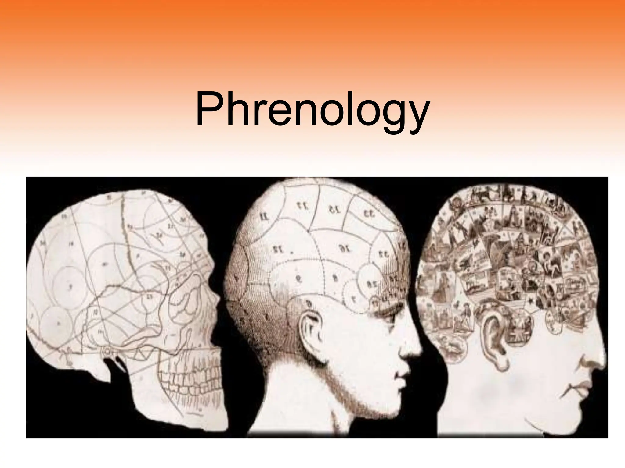 biology of crime causation- Forensic psychology | PPT