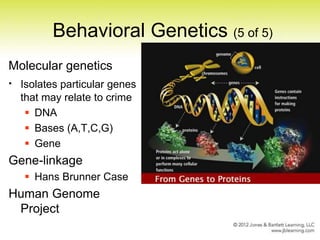 biology of crime causation- Forensic psychology | PPT