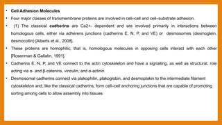 Comprehensive Overview of Cell Culture: Adhesion, Proliferation, and ...
