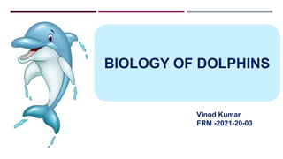 BIOLOGY OF DOLPHINS
Vinod Kumar
FRM -2021-20-03
 