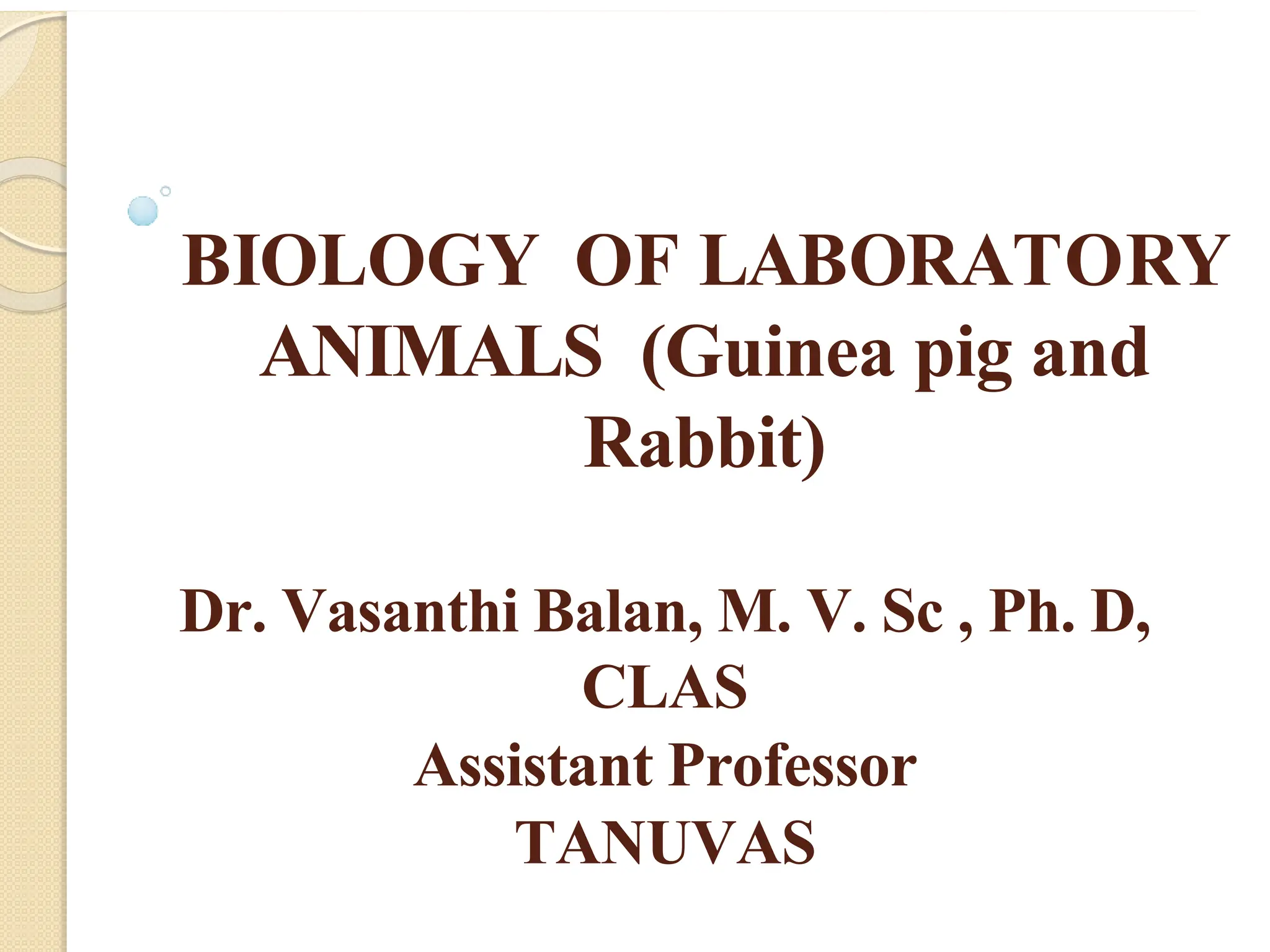 Biology of laboratory animals (guinea pig and rabbit).pptx