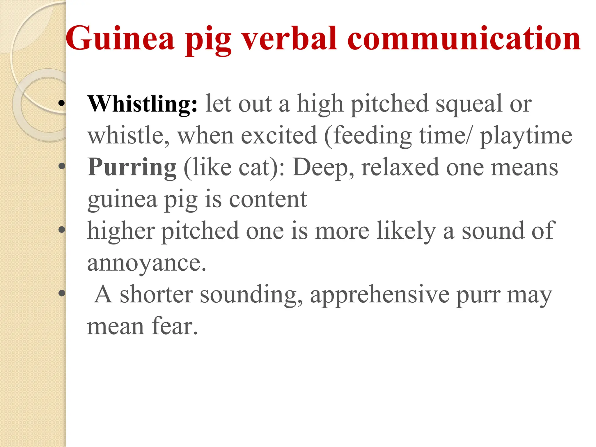 View of Biology of laboratory animals (guinea pig and rabbit).pptx