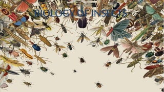 BIOLOGY OF INSECTS
 