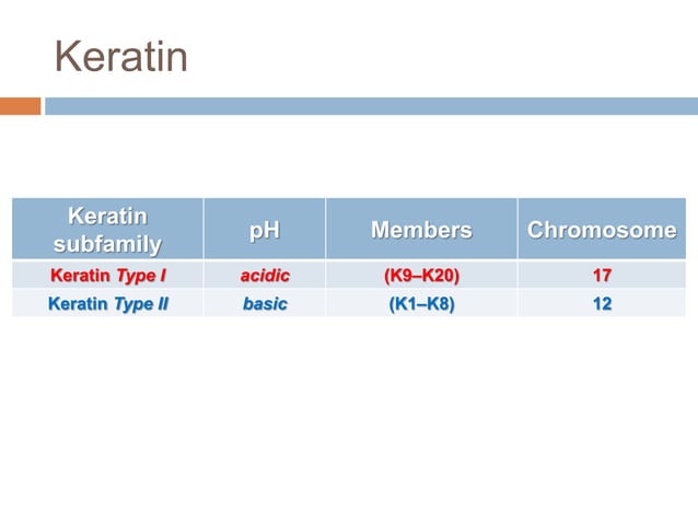 Biology of keratinocytes | PPTX | Skin and Dermatology | Diseases and ...