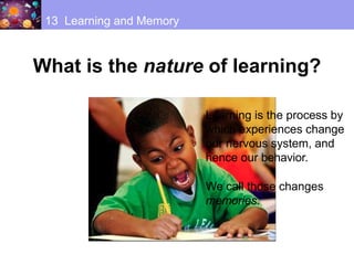 Biology of Learning and Memory.pptx