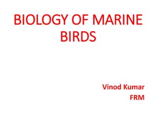 BIOLOGY OF MARINE
BIRDS
Vinod Kumar
FRM
 