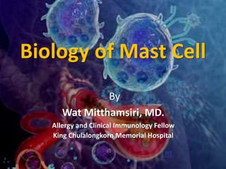 Biology of Mast Cell
By
Wat Mitthamsiri, MD.
Allergy and Clinical Immunology Fellow
King Chulalongkorn Memorial Hospital
 