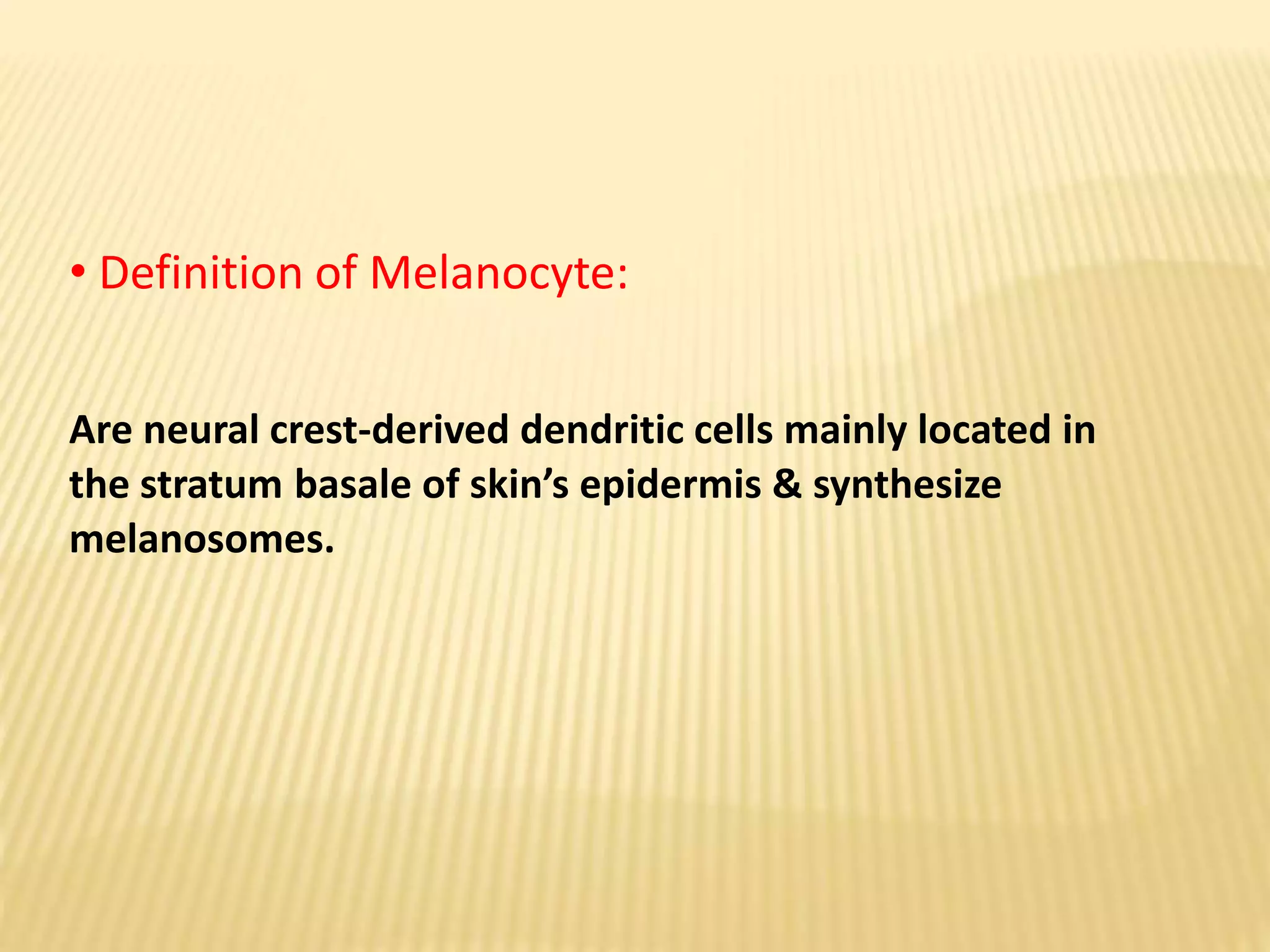 Biology of Melanocyte | PPTX