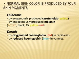 • Melanocyte density is almost the same in all individuals of 
different ethnic background & thus cutaneous 
pigmentation ...