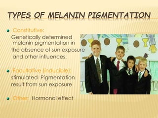 MELANOSMES ARE GREEN (ANTI-TYROSINASE IMMUNOFLUORESCENCE 
LABELLING) 
KERATINOCYTES ARE RED (ANTI-KERATIN IMMUNOFLUORESCEN...