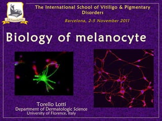 Biology of melanocyte   Torello Lotti Department of Dermatologic Science University of Florence, Italy The International School of Vitiligo & Pigmentary Disorders Barcelona, 2-5 November 2011 
