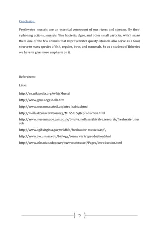 Biology of mussels & Camps | PDF