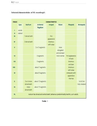 5 | P a g e
Selected characteristics of M. rosenbergii:
Table 1
 