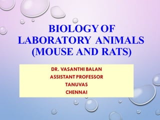BIOLOGYOF
LABORATORY ANIMALS
(MOUSE AND RATS)
DR. VASANTHI BALAN
ASSISTANT PROFESSOR
TANUVAS
CHENNAI
 