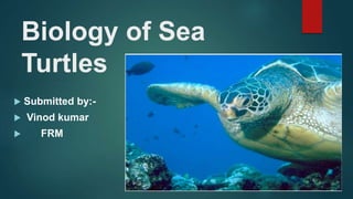 Biology of Sea
Turtles
 Submitted by:-
 Vinod kumar
 FRM
 