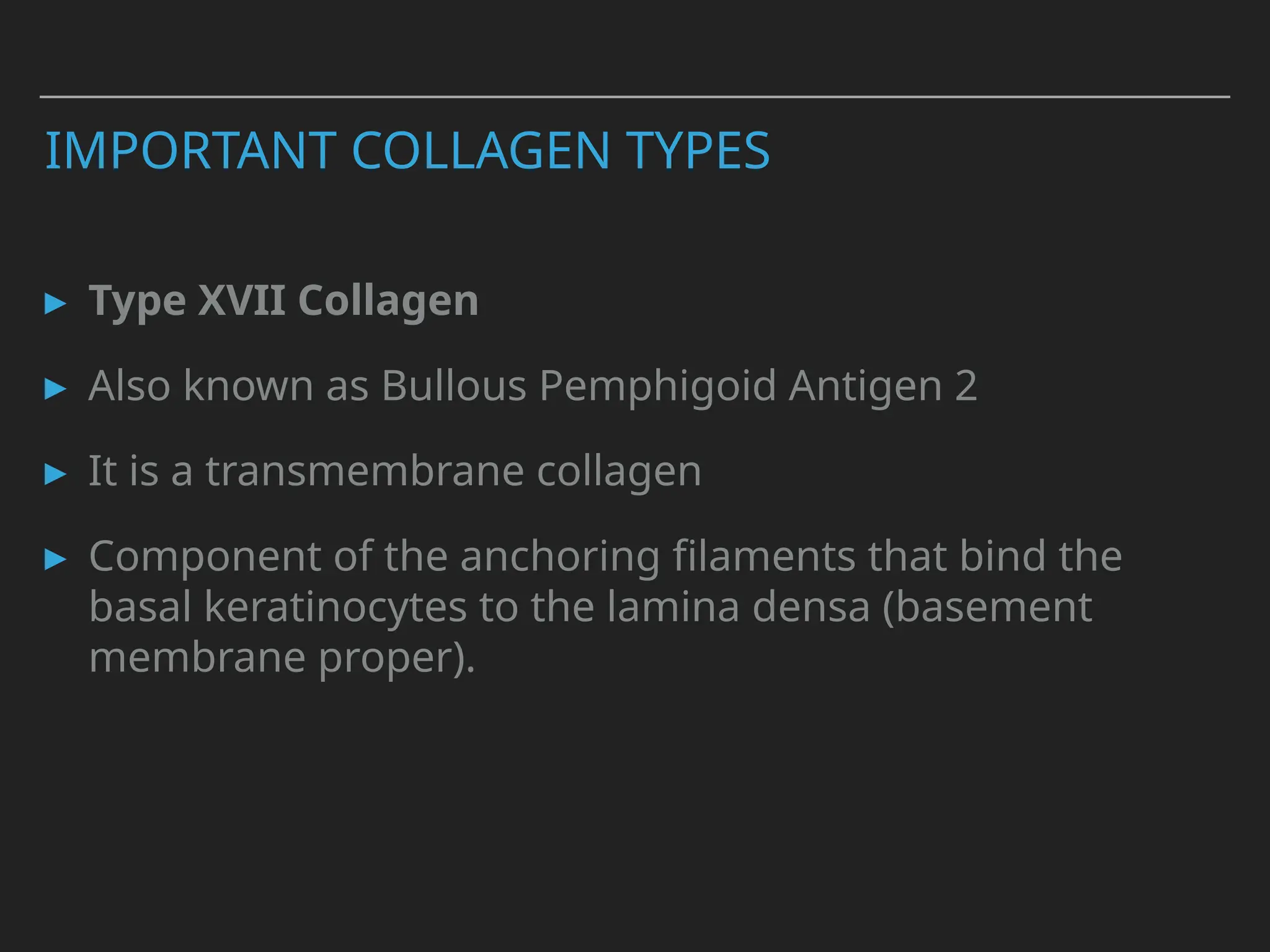 IMPORTANT COLLAGEN TYPES
▸ Type XVII Collagen
▸ Also known as Bullous Pemphigoid Antigen 2
▸ It is a transmembrane collagen
▸ Component of the anchoring filaments that bind the
basal keratinocytes to the lamina densa (basement
membrane proper).
 