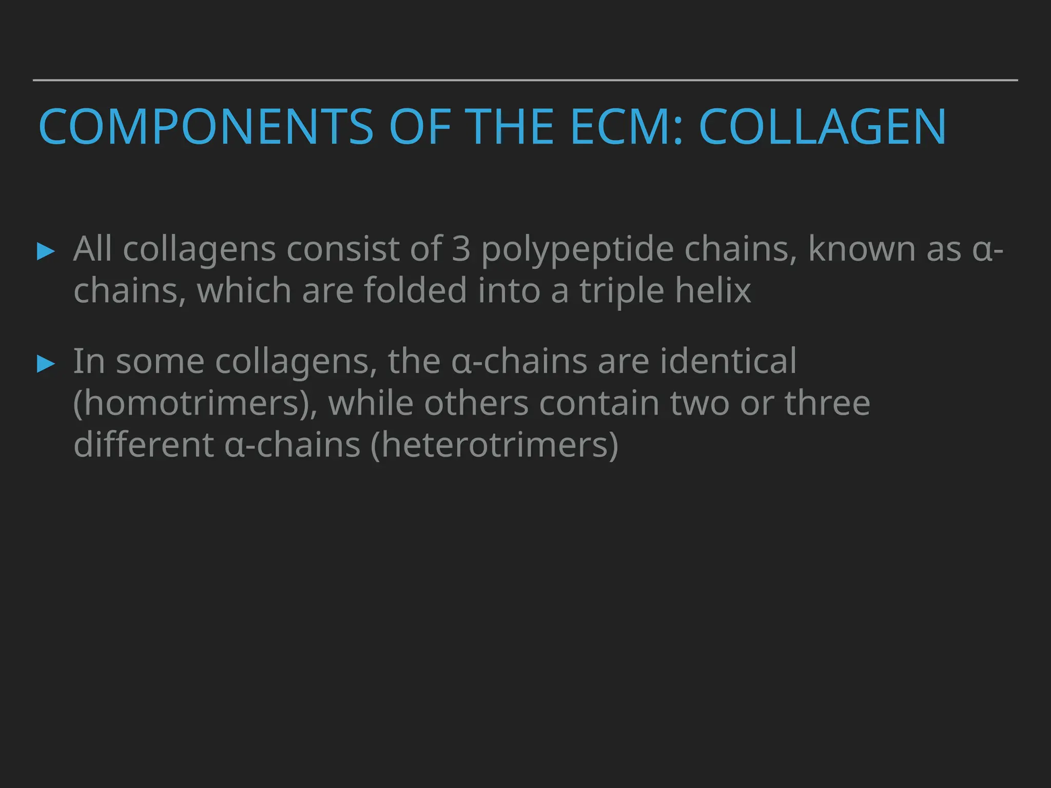 COMPONENTS OF THE ECM: COLLAGEN
▸ All collagens consist of 3 polypeptide chains, known as α-
chains, which are folded into a triple helix
▸ In some collagens, the α-chains are identical
(homotrimers), while others contain two or three
different α-chains (heterotrimers)
 