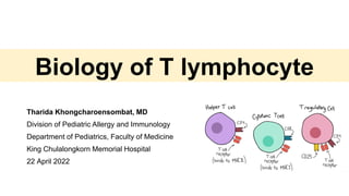 Biology of T lymphocyte
Tharida Khongcharoensombat, MD
Division of Pediatric Allergy and Immunology
Department of Pediatrics, Faculty of Medicine
King Chulalongkorn Memorial Hospital
22 April 2022
 