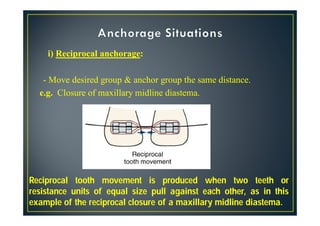 Reciprocal Tooth Biology of tooth movement | PDF
