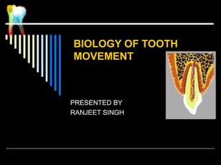 BIOLOGY OF TOOTH
MOVEMENT
PRESENTED BY
RANJEET SINGH
 