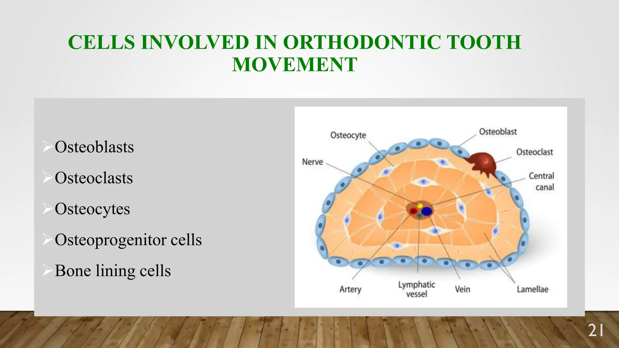 BIOLOGY OF TOOTH MOVEMENT IN ORTHODONTICS | PPTX