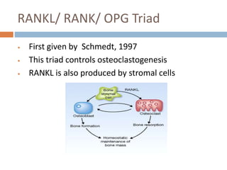 Triads Ranks biology of tooth movement (1).pptx