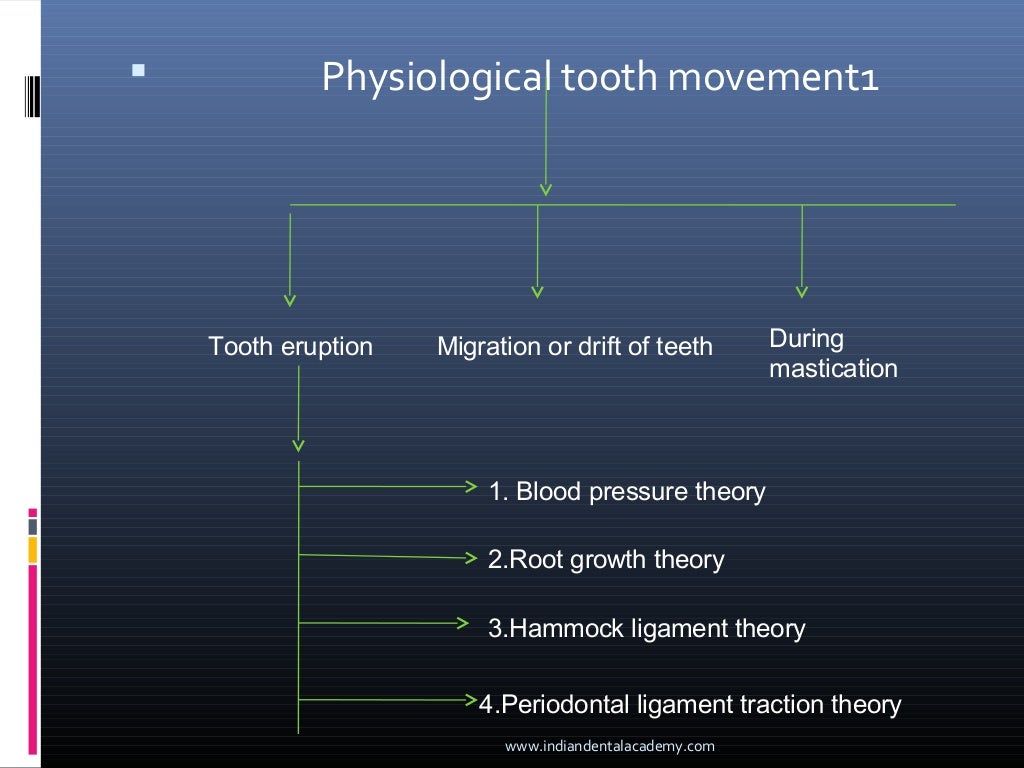 Biology of tooth movement (2)