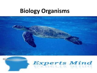 Biology Organisms
 
